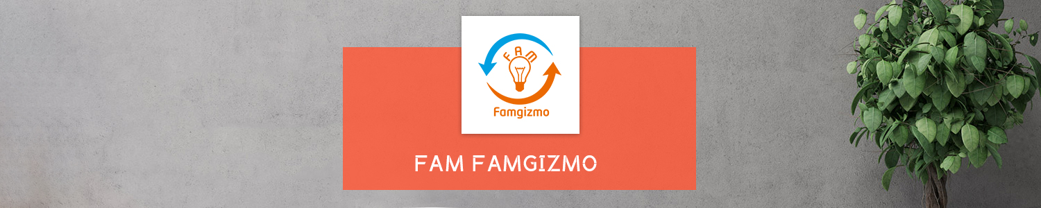 Amazon.co.uk: fam famgizmo