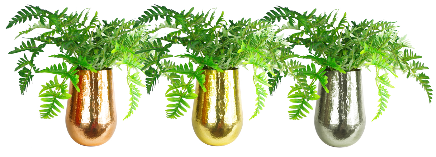 Amazon.co.uk Leaf Pots & Planters