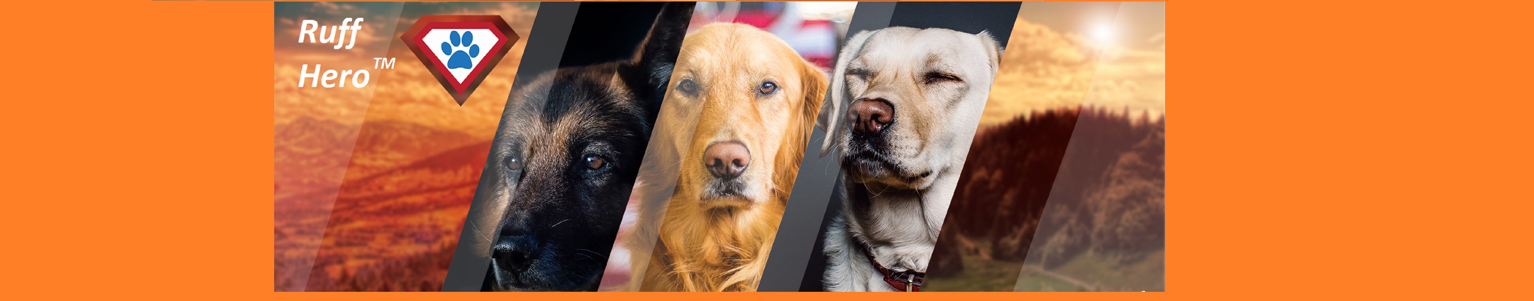 Amazon.ca: Ruff Hero