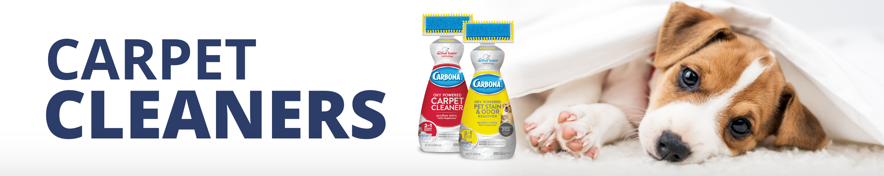 Carbona OxyPowered Pet Stain & Odor Remover
