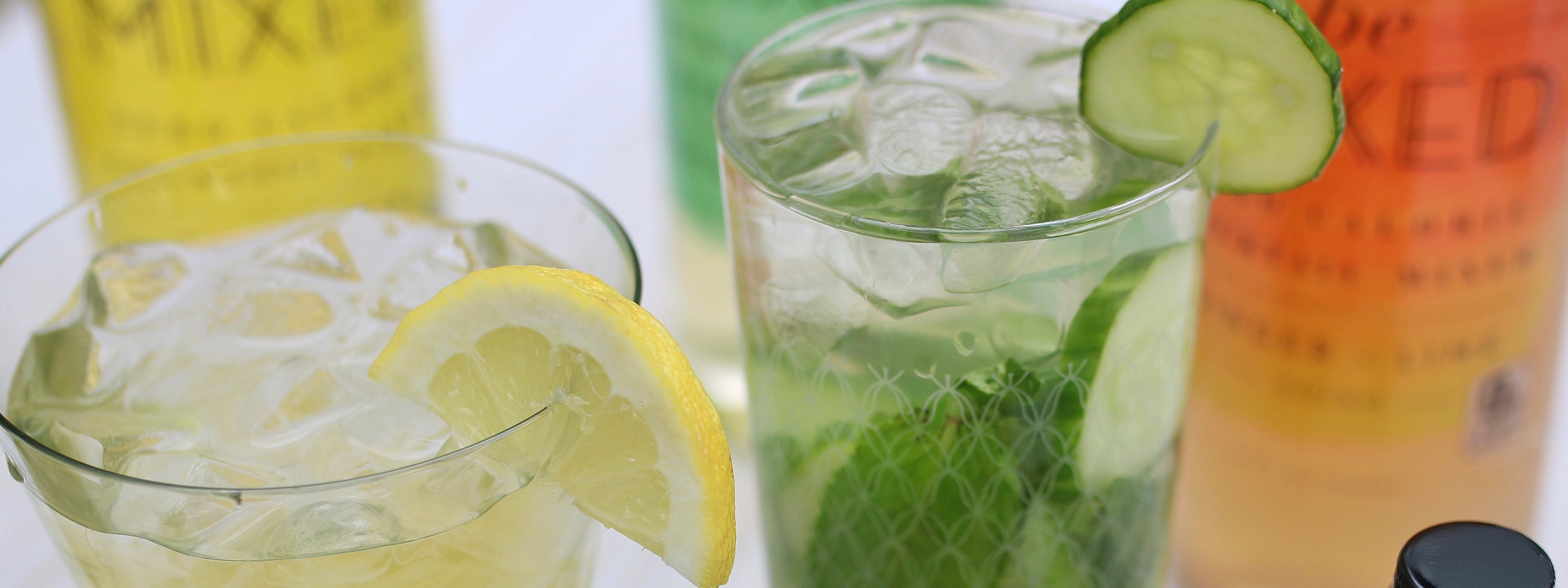 Be Mixed ZeroCalorie Cocktail Mixer