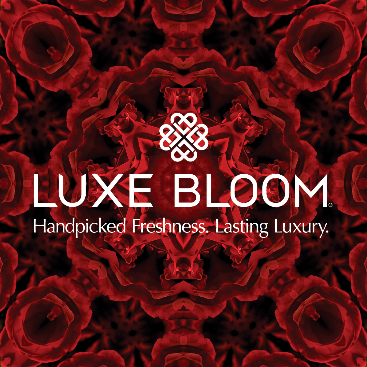 Luxe Bloom