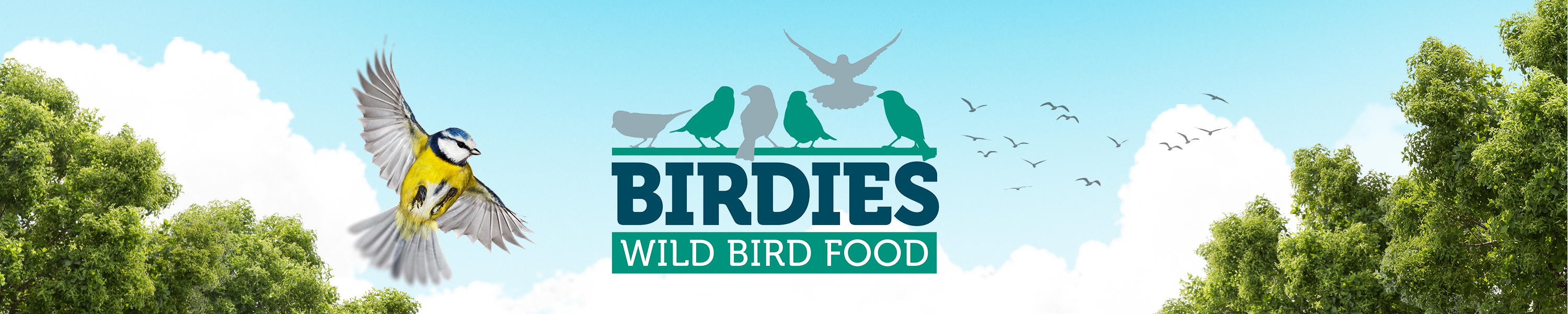 Amazon.co.uk Birdies