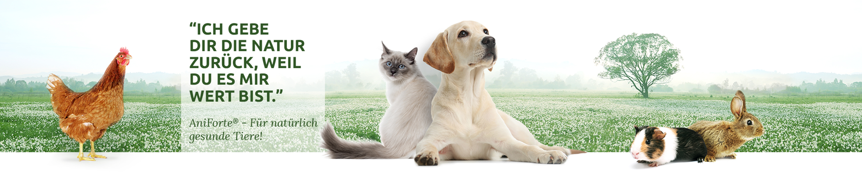 Amazon.de AniForte Hund