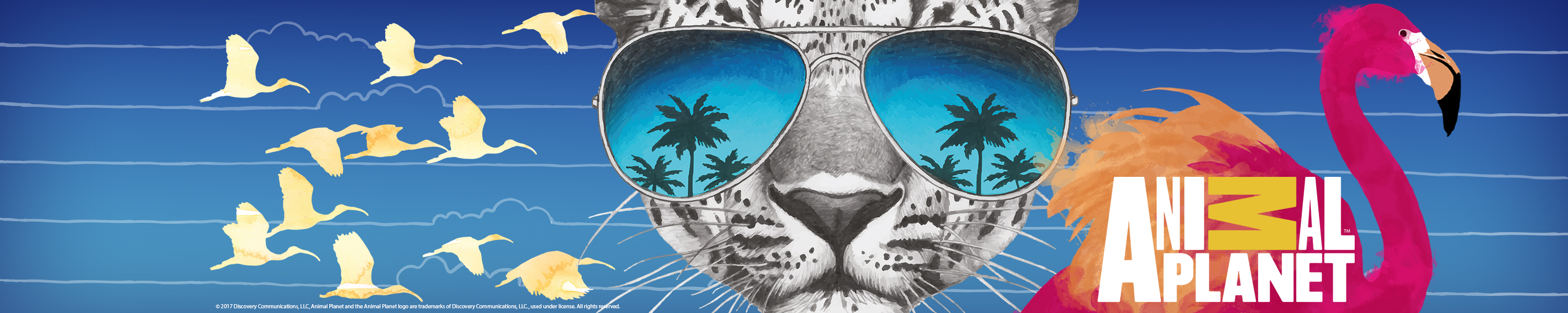 Amazon.de Spreadshirt Animal