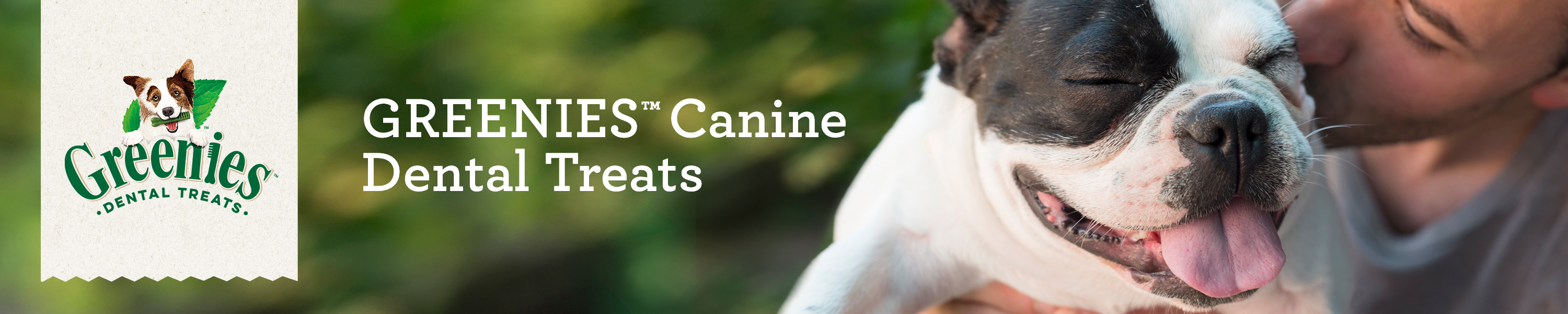 Amazon.ca Greenies DOG TREATS