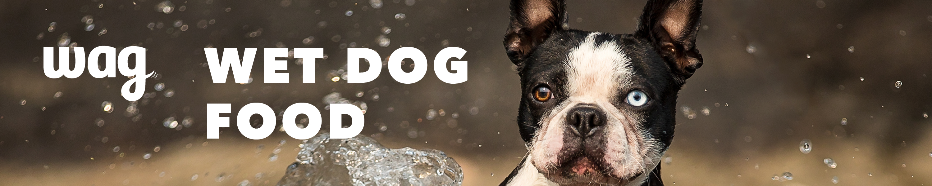 Wag Wet Dog Food