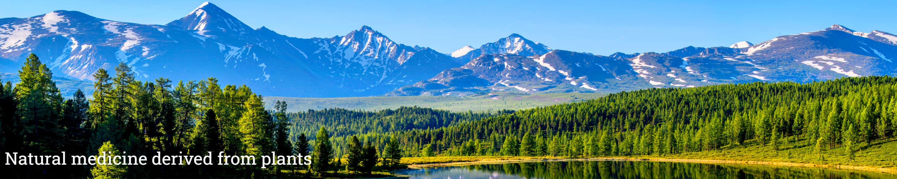 Natural Choice Botanicals