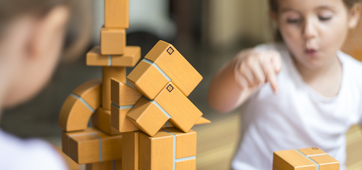 Amazon.com: UNIT BRICKS
