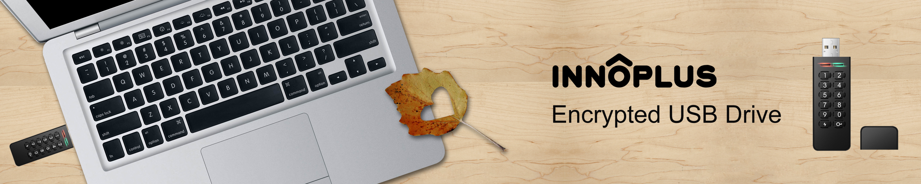 Amazon.com: INNÔPLUS: Encrypted USB Drive