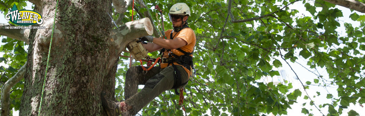 Weaver Leather Throw Weight And Line Kit