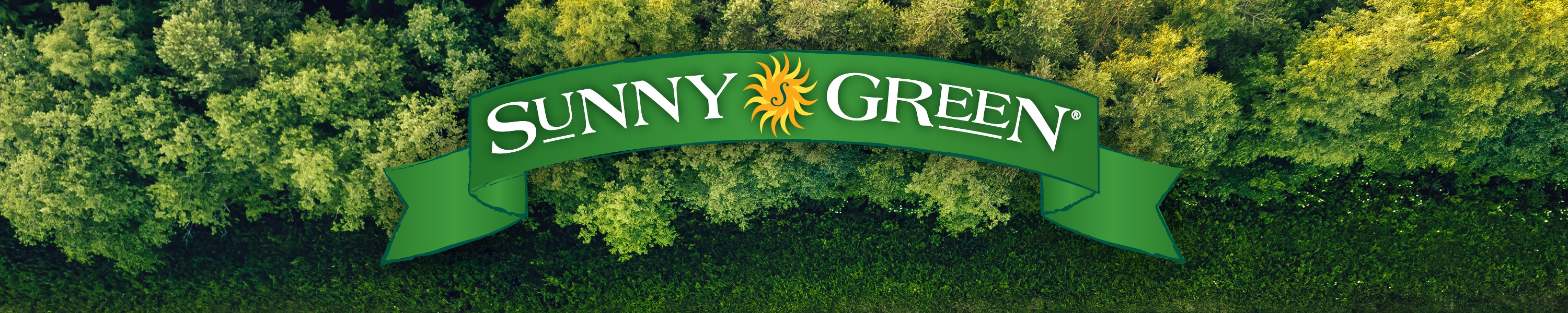 Amazon.com: SUNNY GREEN: Specialty Greens