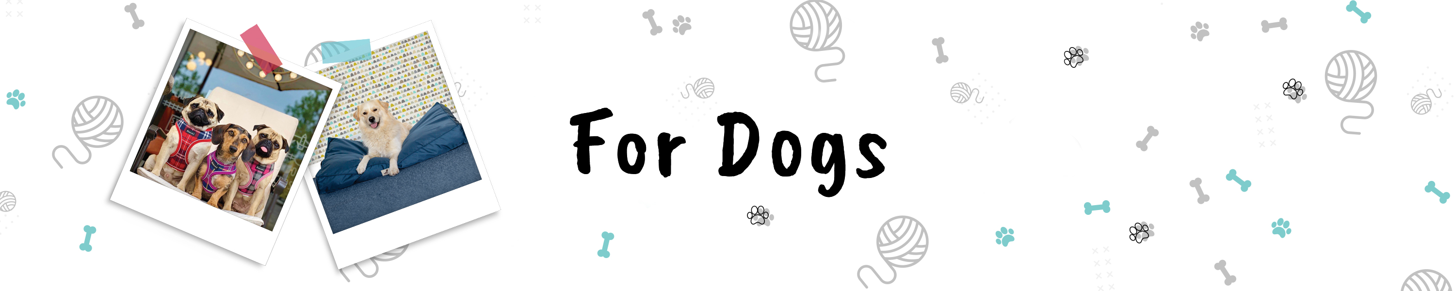 Amazon.co.uk All Pet Solutions Dogs