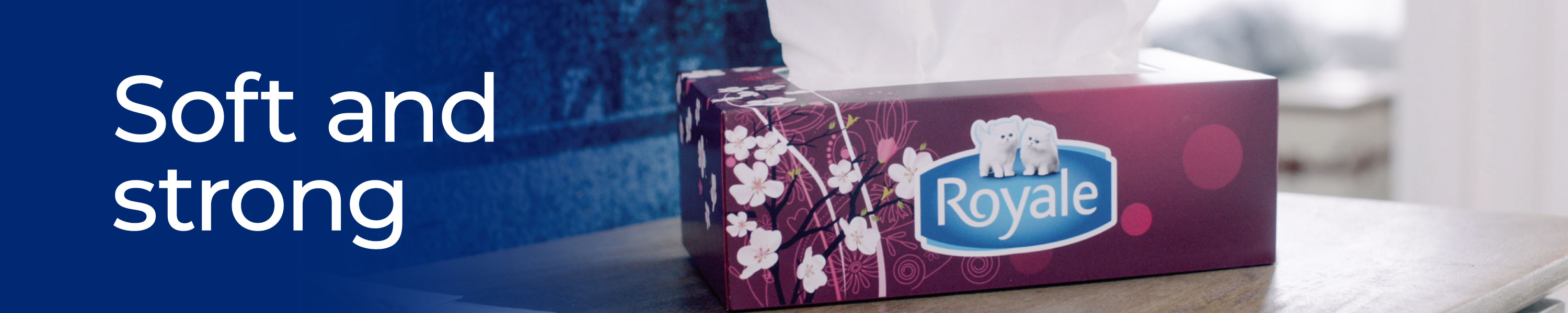 Amazon.ca ROYALE® FACIAL TISSUE