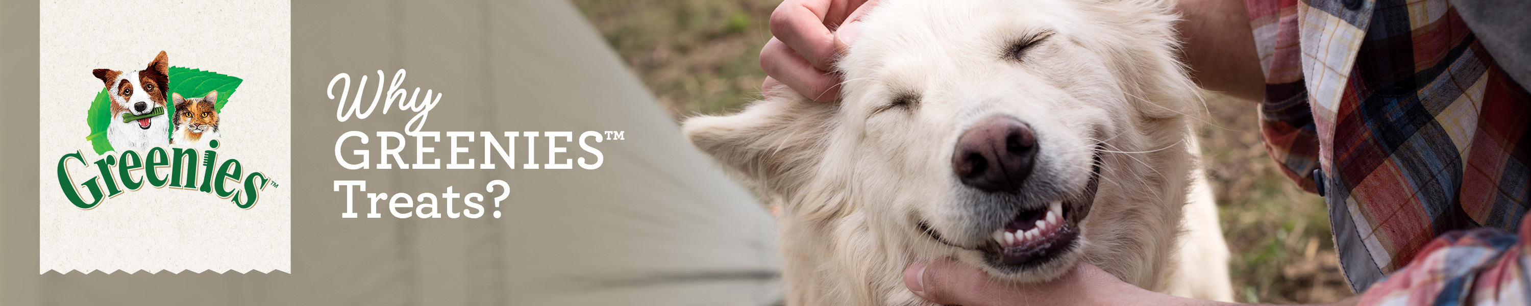 Amazon.ca Greenies GREENIES Why Greenies?