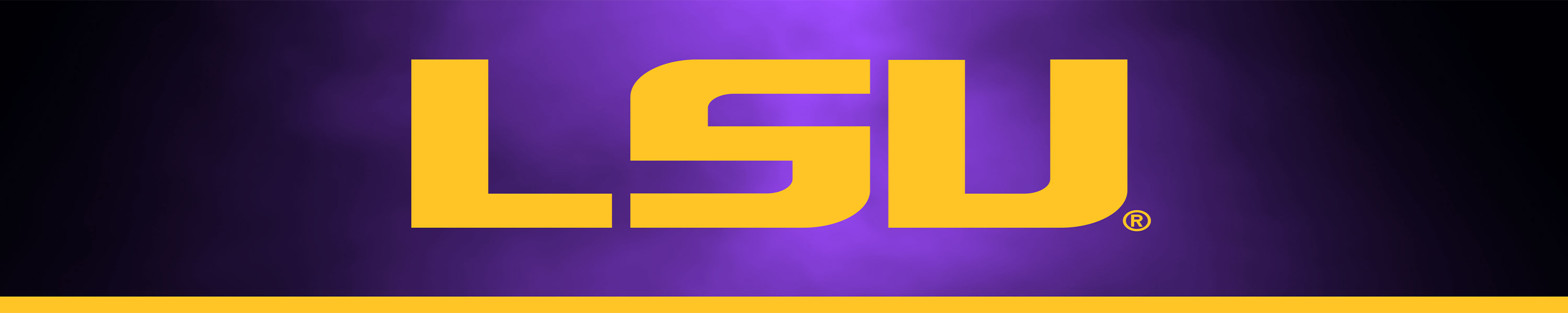 Amazon.com: LSU Tigers