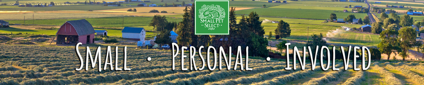 Amazon.com: Small Pet Select