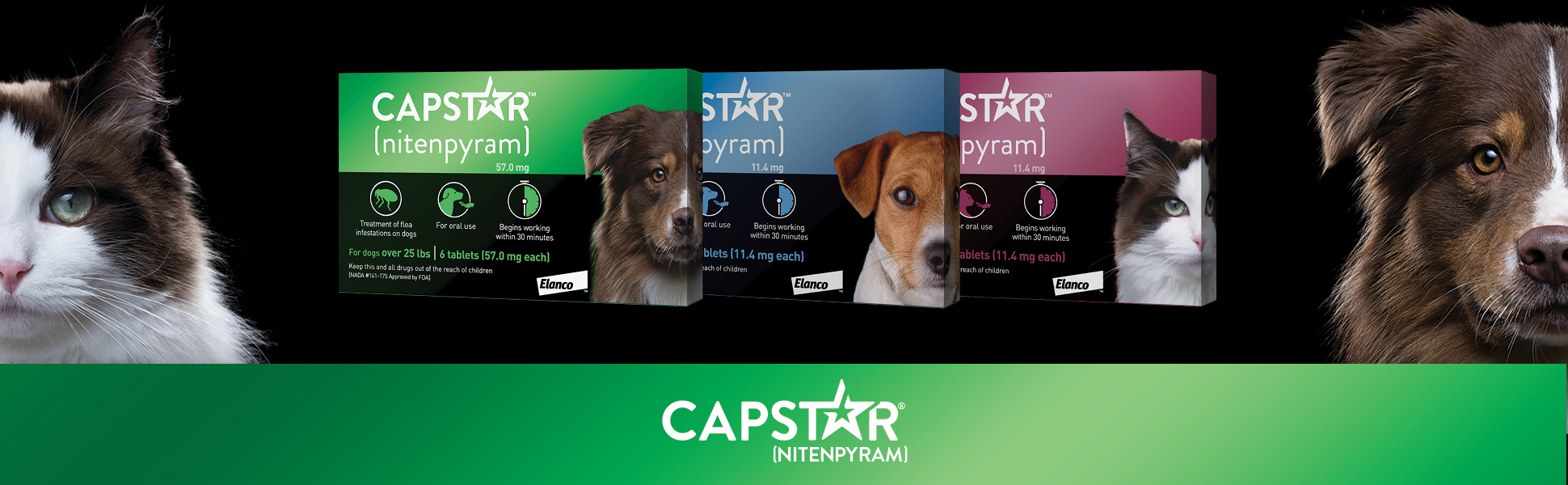 Elanco Animal Health Capstar
