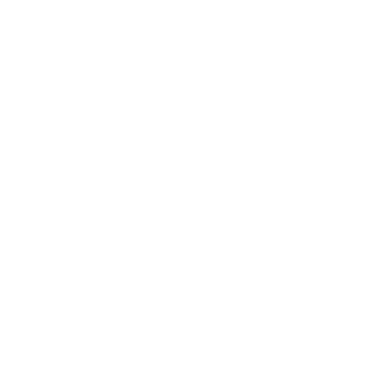 Amazon.com: Rebel: Jointed Minnow