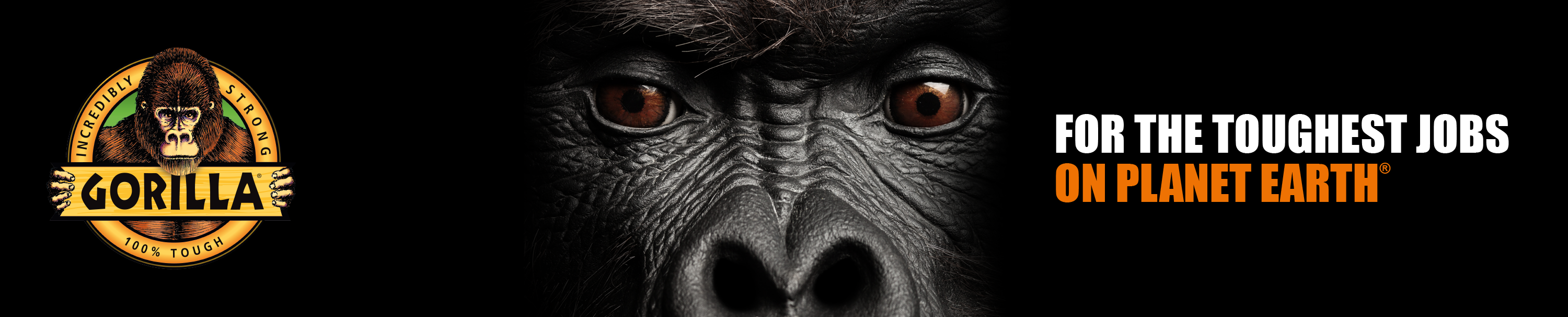 Amazon.co.uk Gorilla Glue