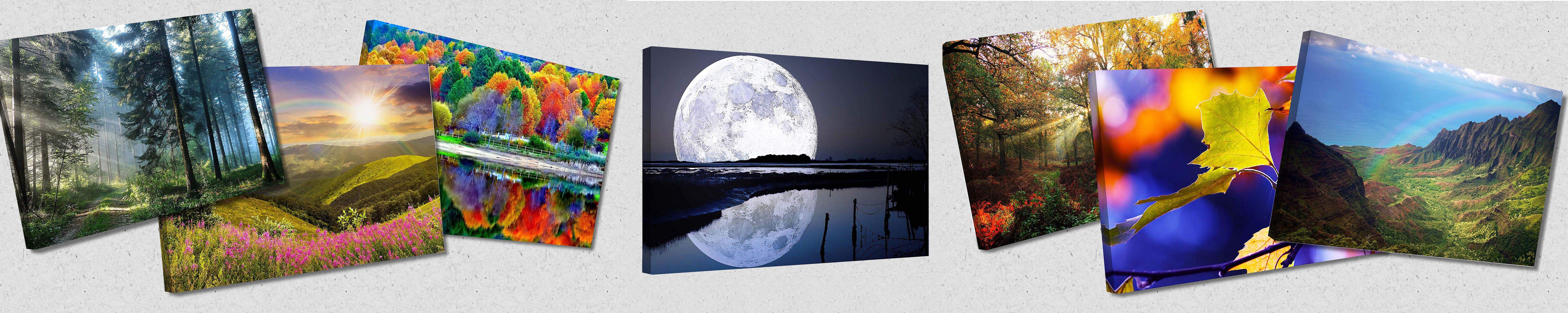 Amazon.de Startonight Nature Canvas Wall Art