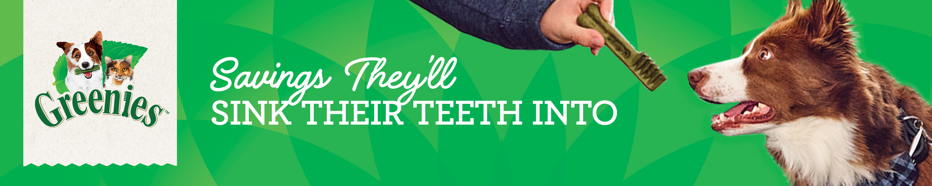 Amazon.ca Greenies GREENIES Featured Deals