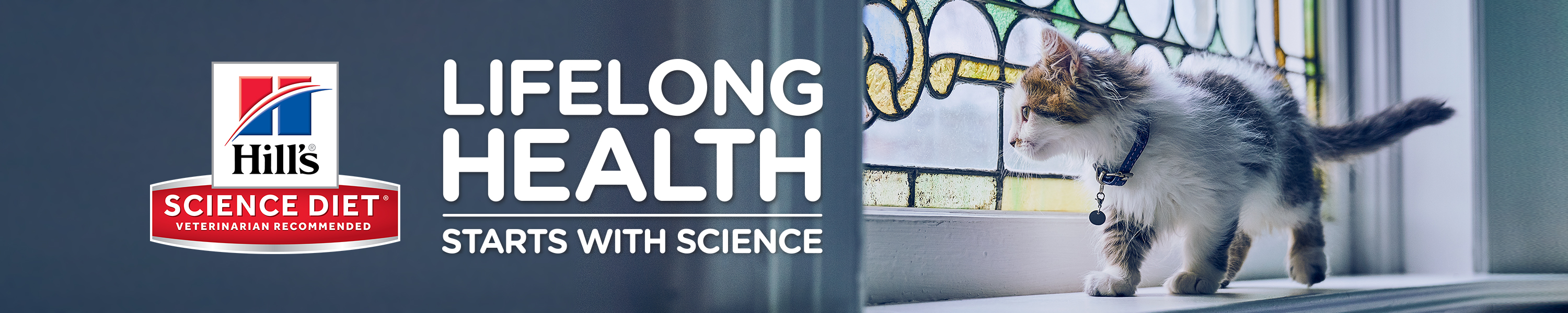 Amazon.ca Hill's Pet Nutrition, Inc Indoor