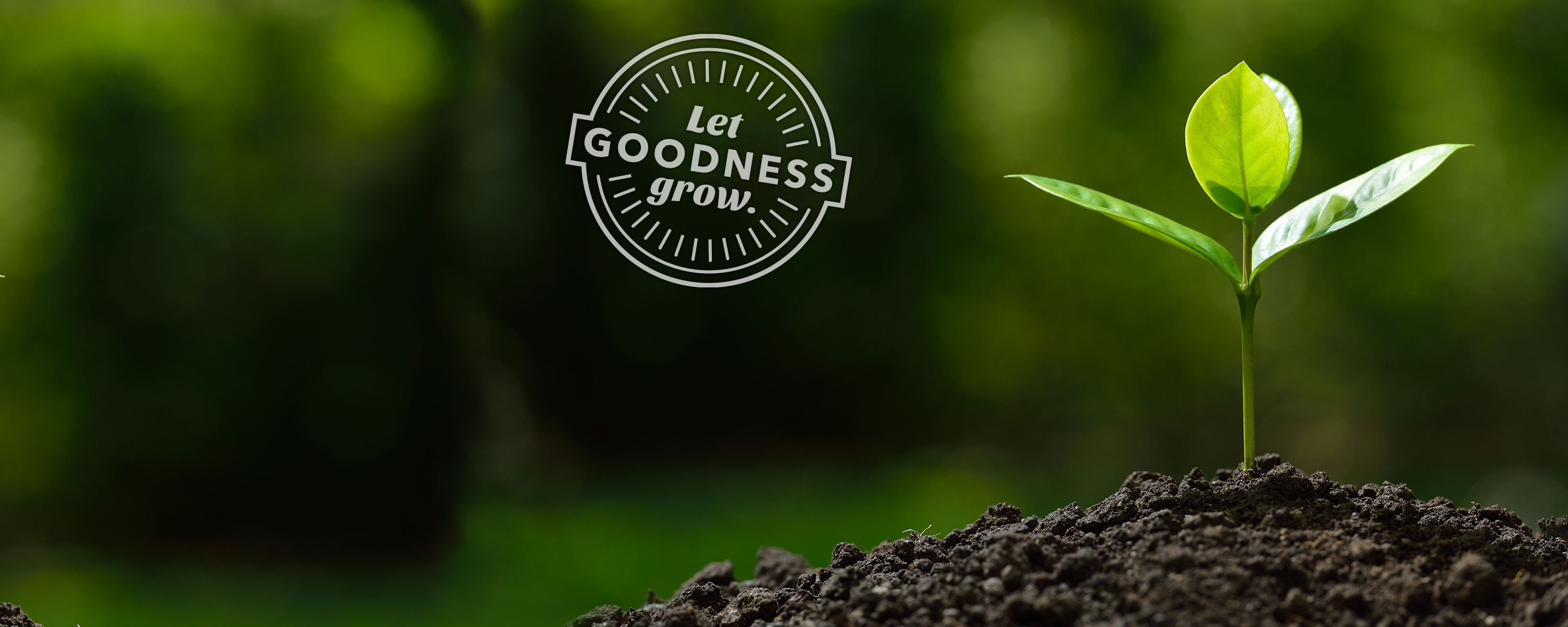 Garden Safe Fungicide