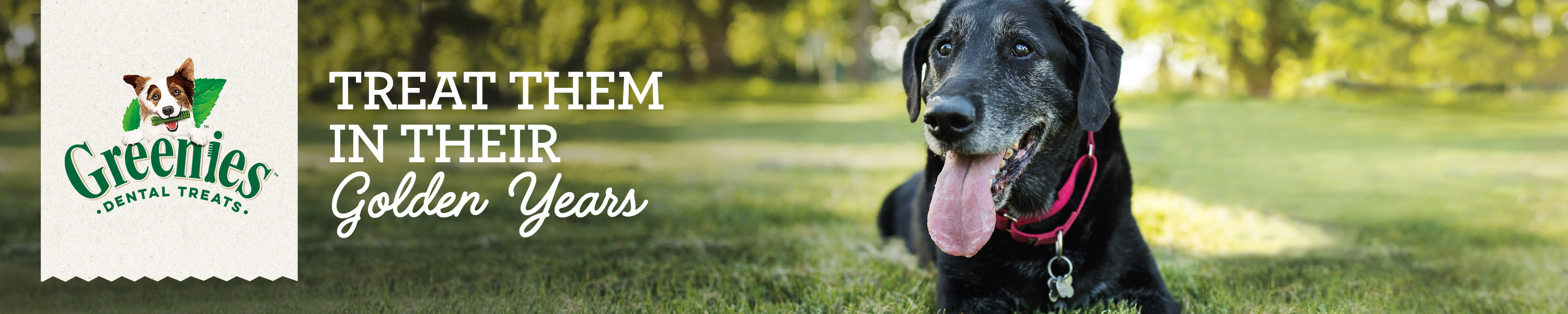 GREENIES GREENIES Dental Treats for Senior Dogs