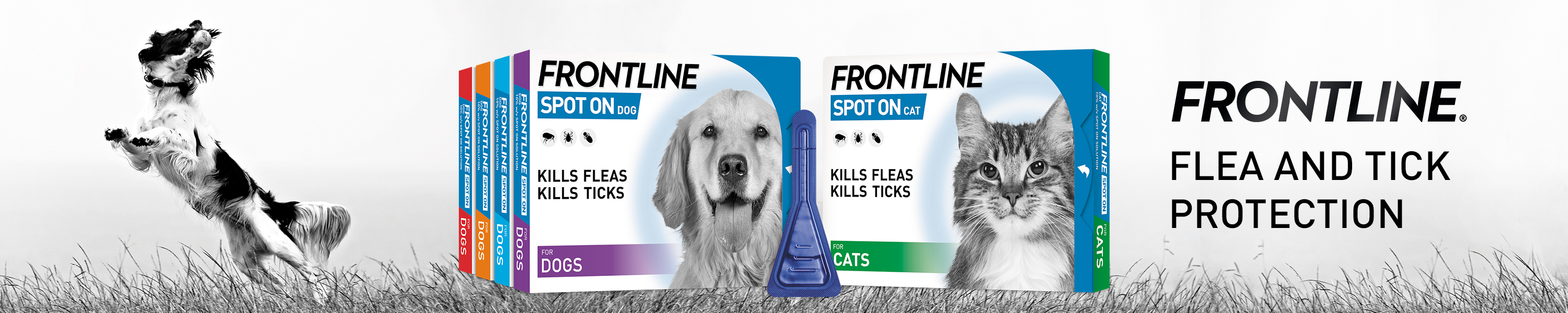 Amazon.co.uk FRONTLINE