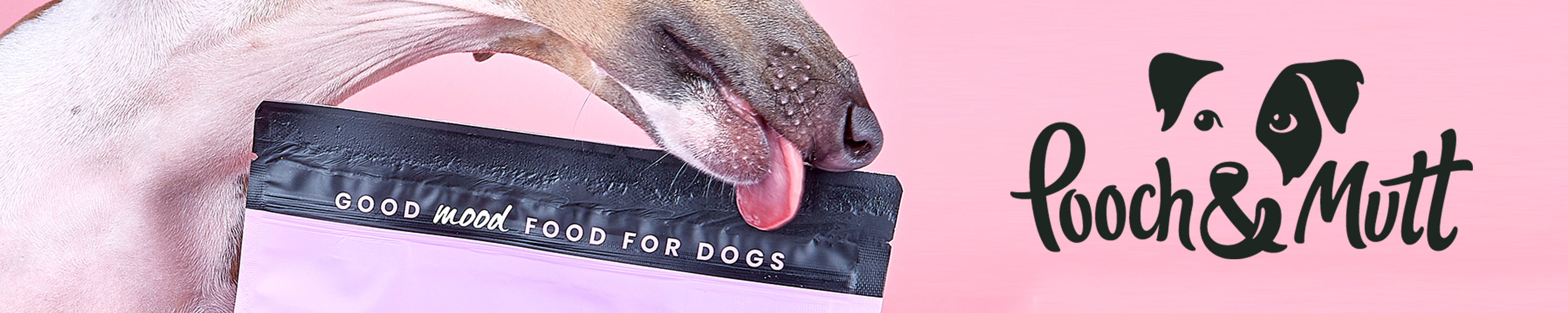 Amazon.co.uk Pooch and Mutt Pooch and Mutt