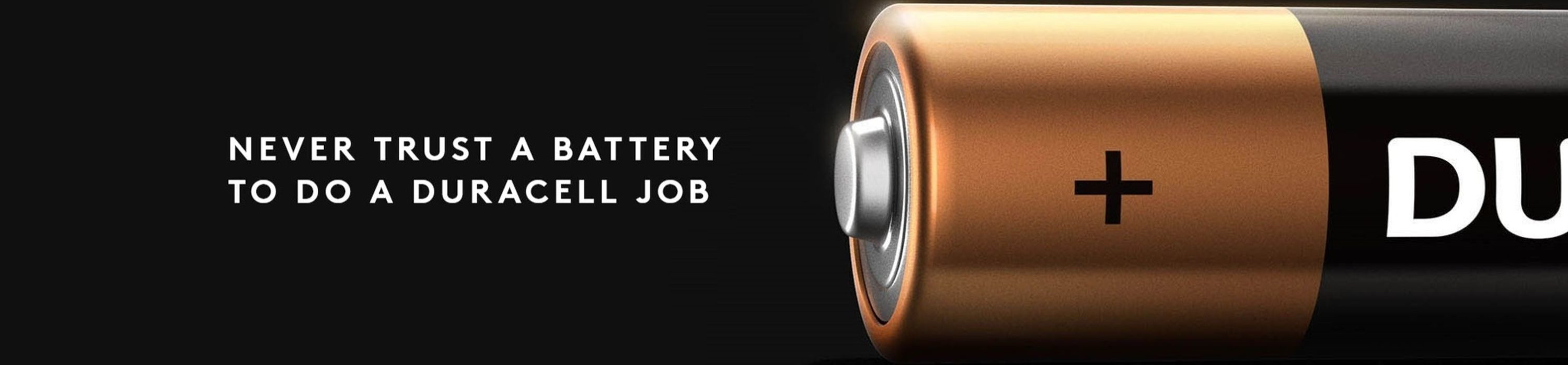 Amazon.ca Duracell Quantum Batteries
