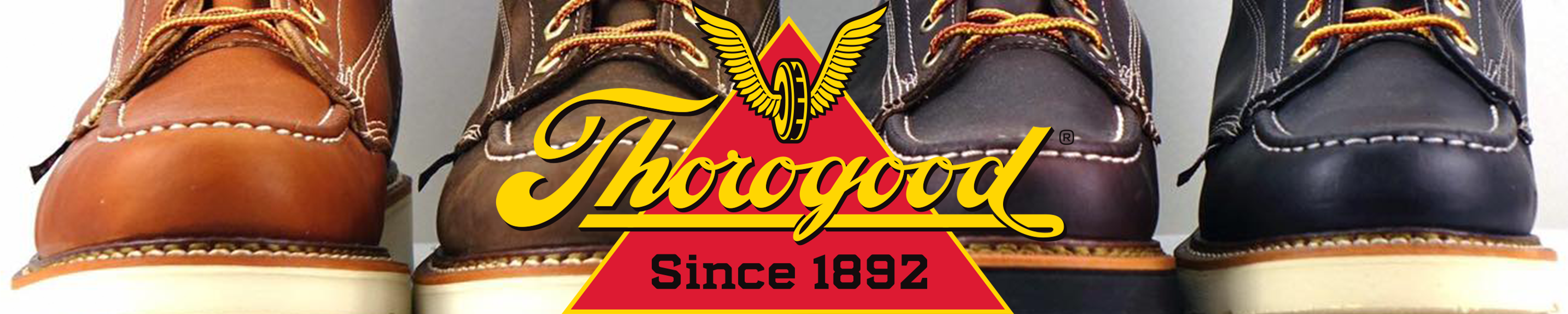 Amazon Thorogood