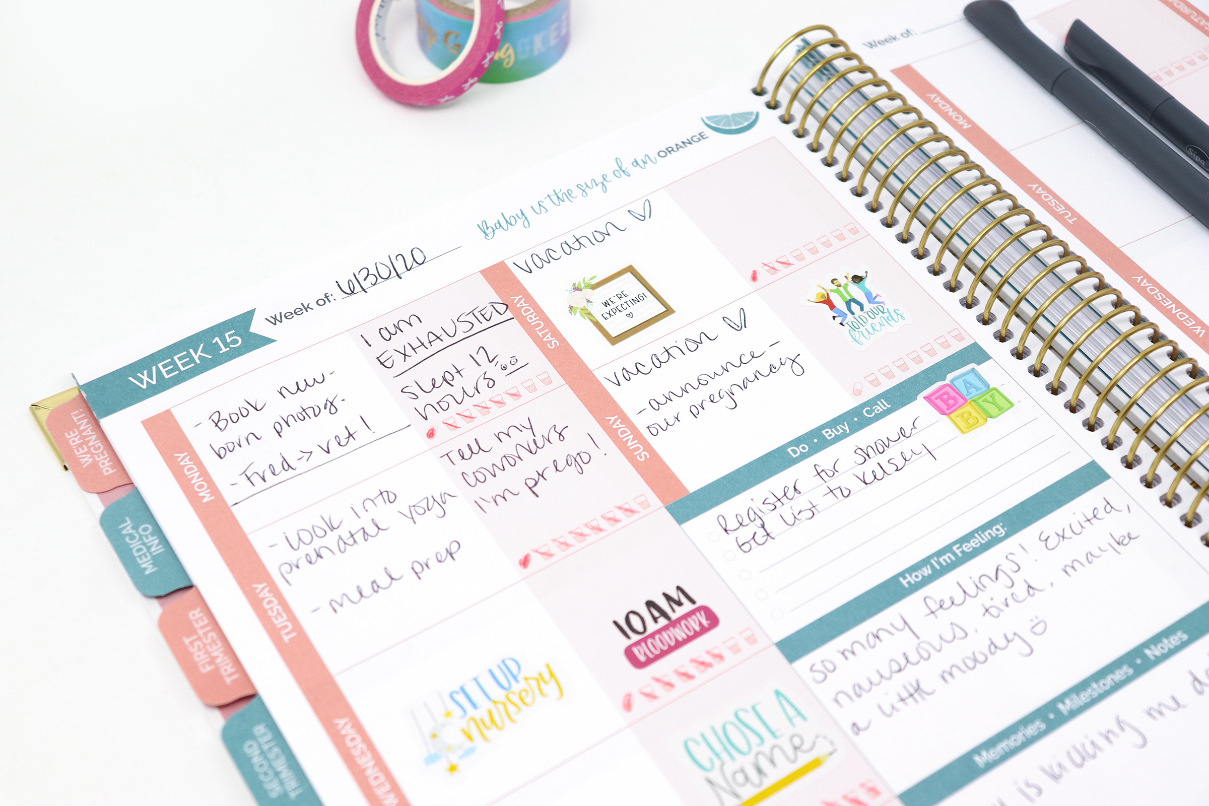 bloom daily planners Pregnancy & Baby Planners