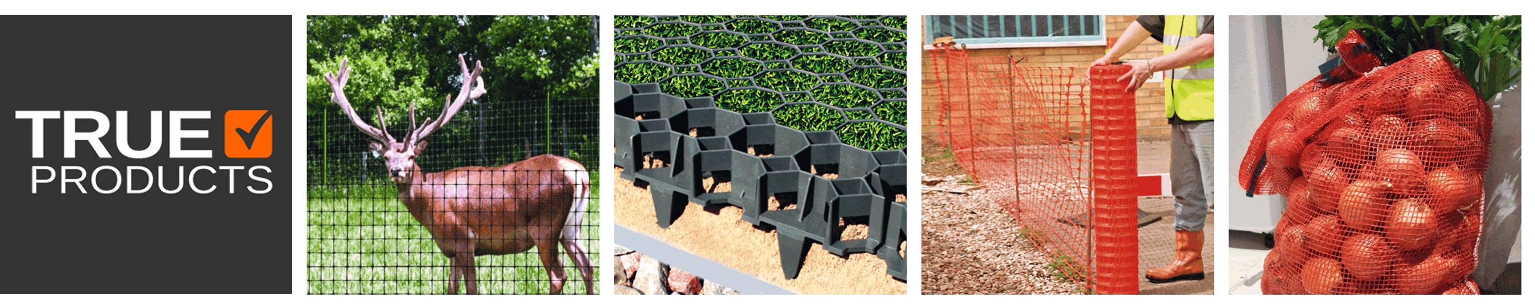 Amazon.de True Products Fencing Pins