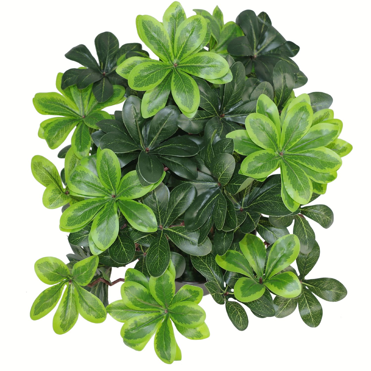 Amazon.co.uk Leaf Artificial Plants