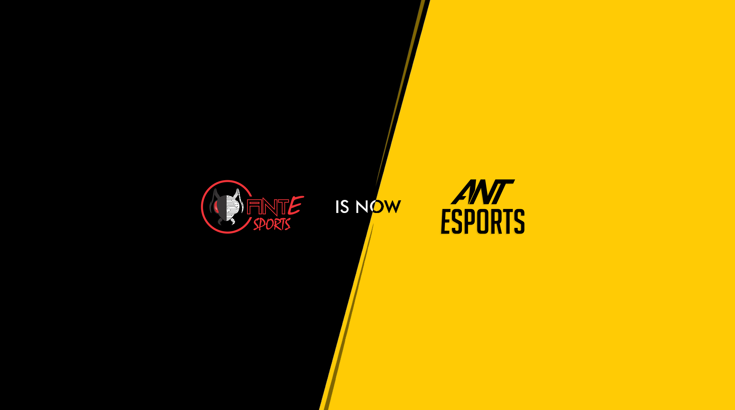 Amazon.in Ant Esports