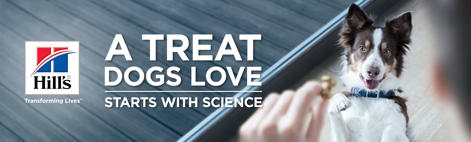 Hill's Pet Nutrition, Inc Dog Treats