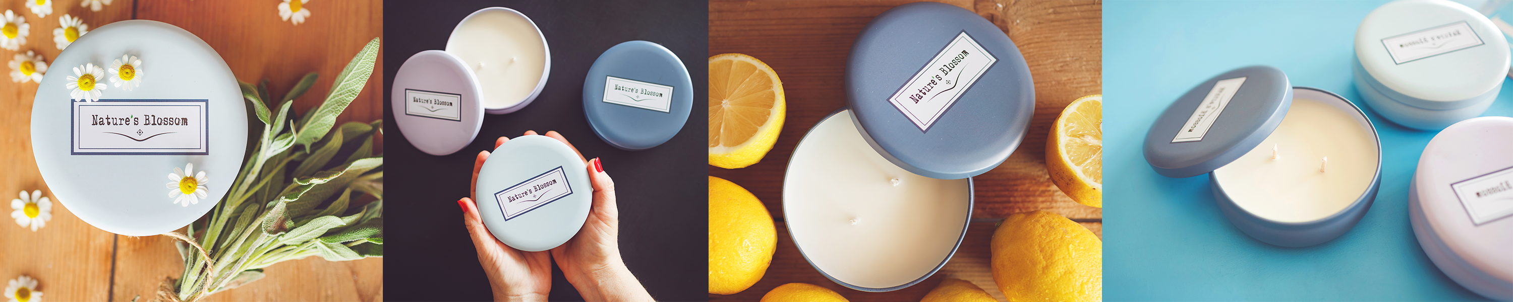 Amazon.ca Nature's Blossom Candle Making