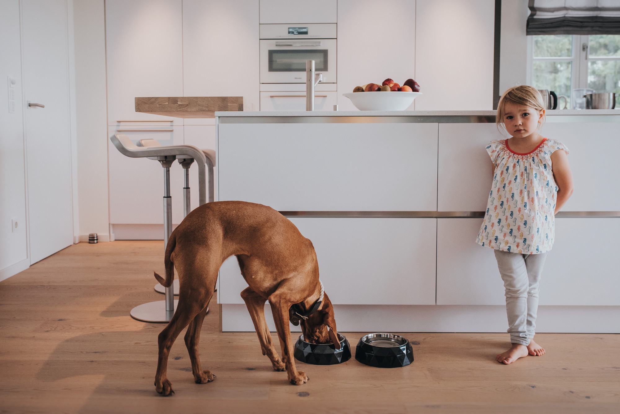 HUNTER Pet Store Bowls