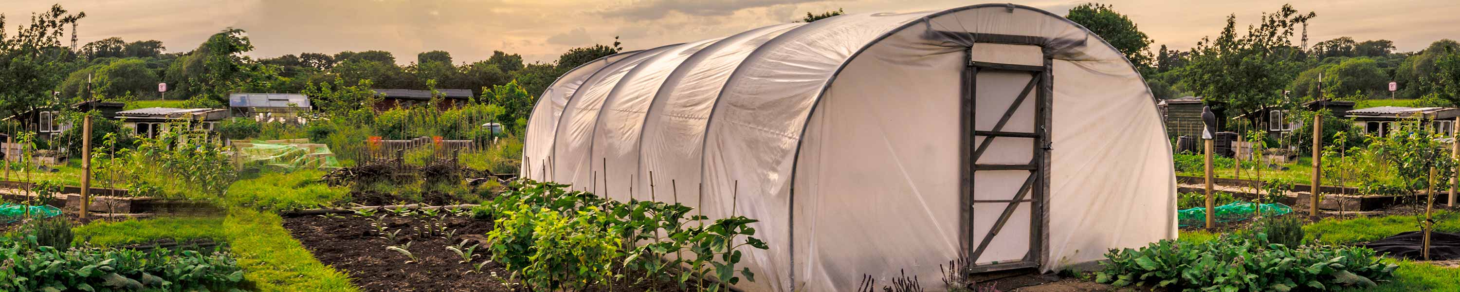 Abba Patio Greenhouse