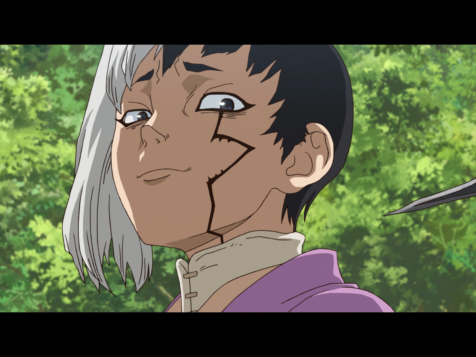 Prime Video ｄｒ ｓｔｏｎｅ