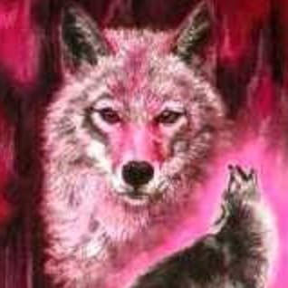 Fresa Wolf profile picture