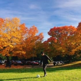 Will Gao profile picture