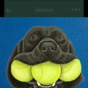 Jim Rudy profile picture