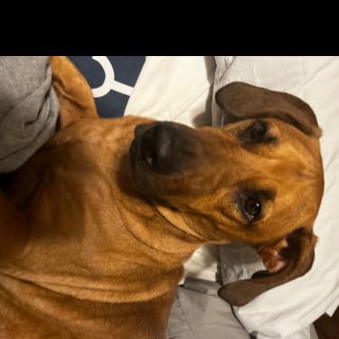 George profile picture