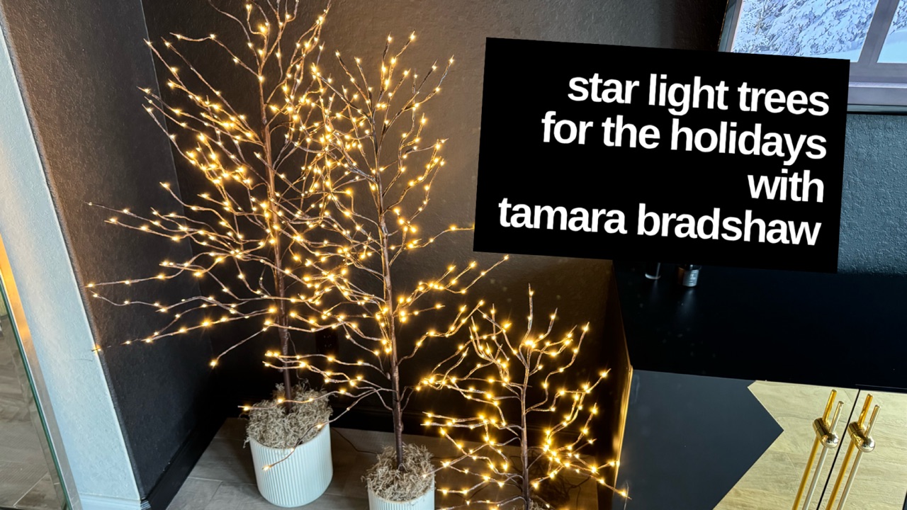 Watch Holidays, Set, Go with Tamara Bradshaw on Amazon Live