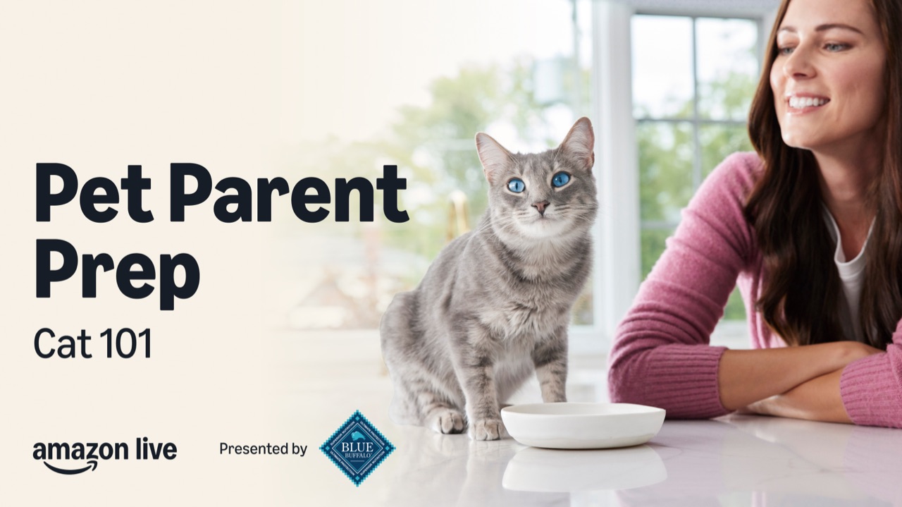 Watch Pet Parent Prep& Cat 101 Presented by Blue Buffalo on Amazon Live