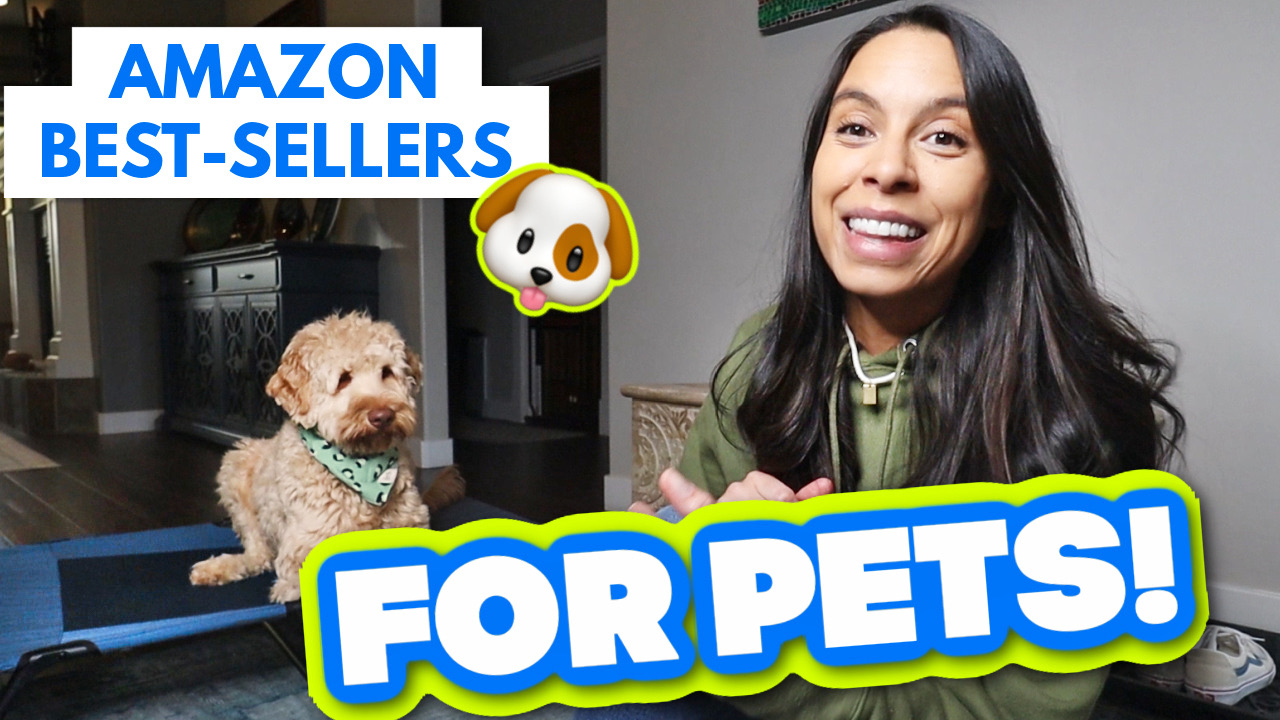 Watch TOP PET PICKS! on Amazon Live