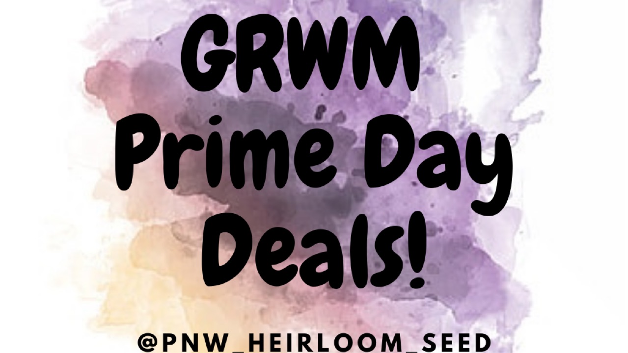 the latest from Getting Seedy with @ PNW Heirloom Seed on Amazon Live